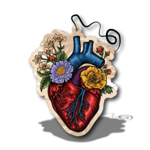 Anatomical Heart
